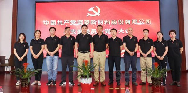 润泰新材料股份党总支成立
