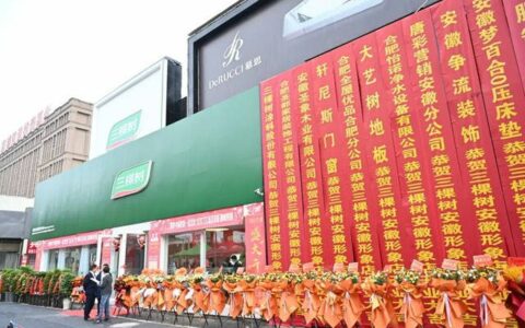 三棵树安徽形象店盛大开业，加速零售市场战略布局