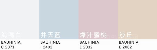 流行趋势 | 紫荆花2023年度流行色发布！