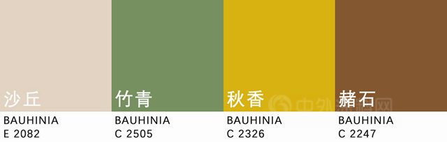 流行趋势 | 紫荆花2023年度流行色发布！