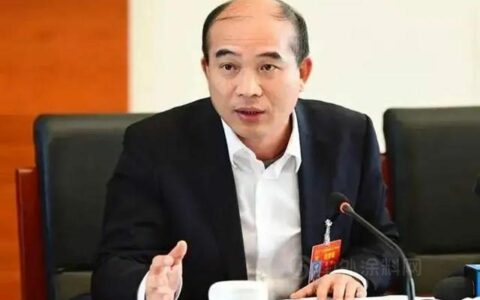 洪杰：坚定不移走产业报国发展之路