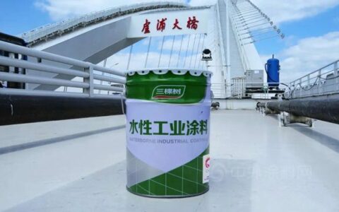 三棵树水性工业涂料助力上海卢浦大桥结构性大修重涂工程