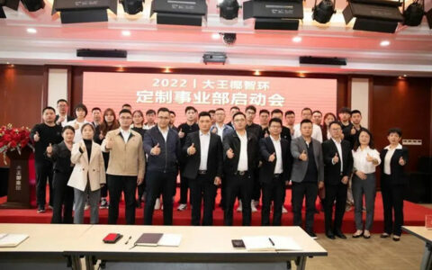 拥抱融合，聚能创造丨大王椰定制事业迈入新征程