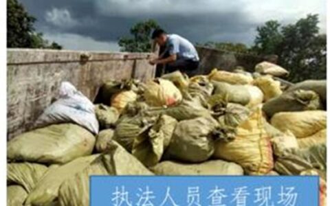 非法处理油漆危废，油漆老总受连累一起坐牢
