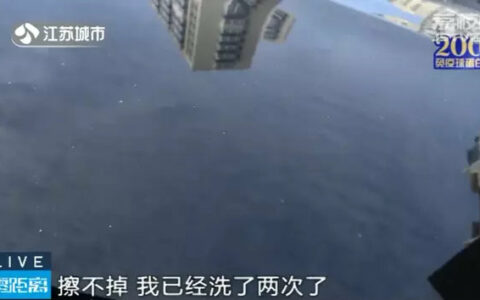 天上两场涂料雨，路边车成“斑点狗”，几十车主集体崩溃