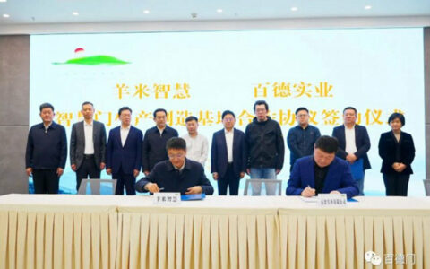 羊米智慧与百德木门达成战略合作关系