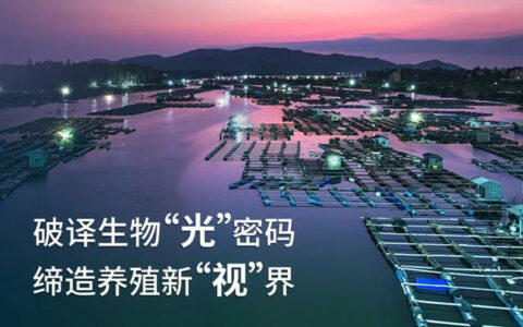 重新用“光”助力水产养殖 | 佛山照明推出养殖照明新方案