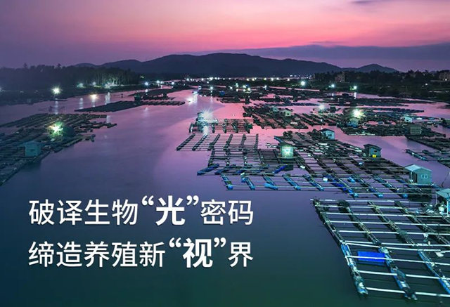 重新用“光”助力水产养殖 | 佛山照明推出养殖照明新方案
