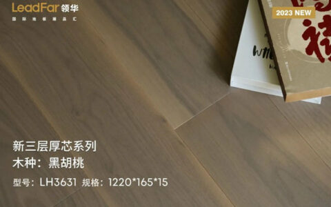 领华地板丨2023新品类开启时代新篇章