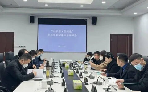 “好家居 崇州造”崇州家具团体标准通过评审