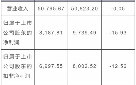 松井股份：2022年度业绩快报
