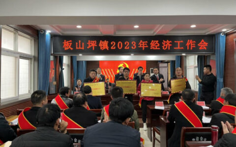 【广源集团】河南南召公司首获“纳税大户”荣誉称号