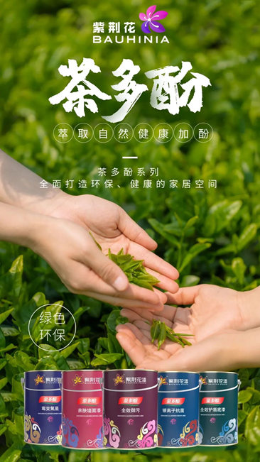 紫荆花获“绿色领跑企业”认证，实力引领可持续发展