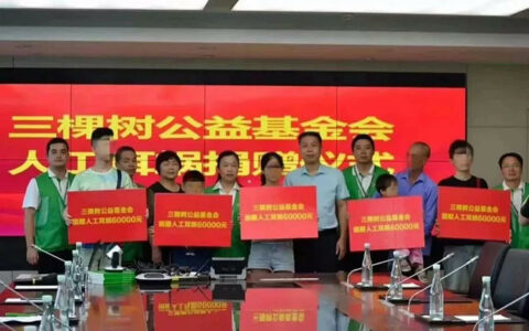 全国爱耳日丨三棵树用爱唤醒耳朵，为听障患者送去福音