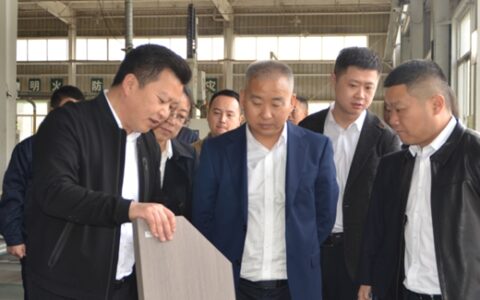 成都城投集团党委副书记曾宪云一行莅临千川木门调研指导