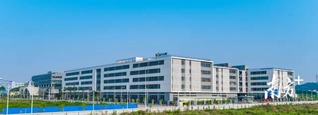 小熊电器年营收首次突破40亿元，同比增长14.18%