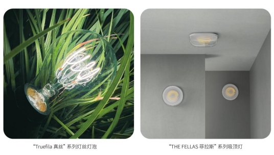 杭科光电冲刺北交所，主营LED灯丝灯