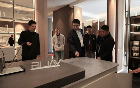 长丰县领导莅临雅丽家指导工作