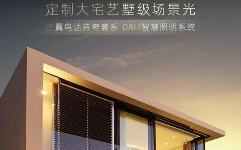 达芬奇 X Dali照明丨稳如泰山，慧聚一墅