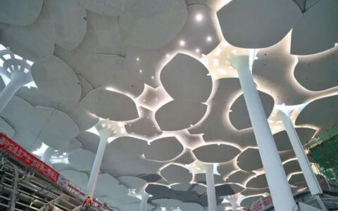 运用“无主灯”概念，北京城市副中心“森林书苑”天花板亮灯了