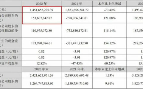 扭亏为盈 皮阿诺2022年净利润1.54亿元！