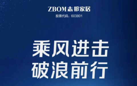 一图快览志邦家居2022年报