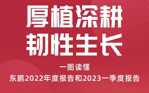 一图读懂东鹏控股2022年度报告和2023一季度报告