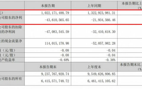 大亚圣象2023年一季度营收10.22亿元