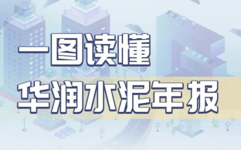 一图读懂华润水泥2022年报
