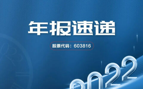 不畏挑战积极破局｜2022年顾家家居年报速递