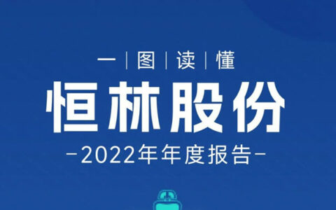一图读懂恒林股份2022年报！