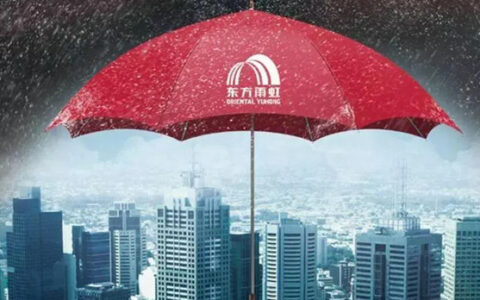 竞拍北京热门地块！东方雨虹回应进军房地产传闻：不涉及房地产开发业务