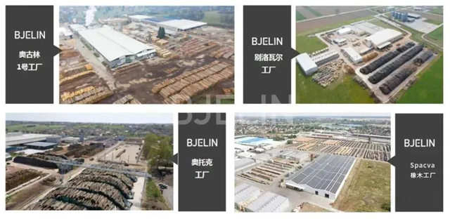 BJELIN在瑞典赫尔辛堡被评为年度最佳公司