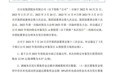 定增募资减至6.04亿元，百合花缘何取消年产4万吨新能源项目
