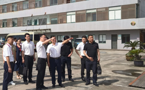 嘉善县委副书记、县长张锡锋一行调研龙森木业