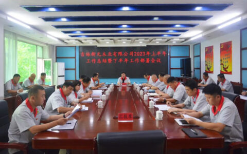 新元公司召开学习贯彻集团上半年工作会议精神暨2023年上半年工作会议