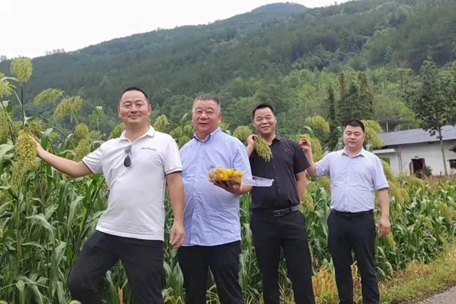 皇庭金门董事长深入市场，引领门窗行业新未来！