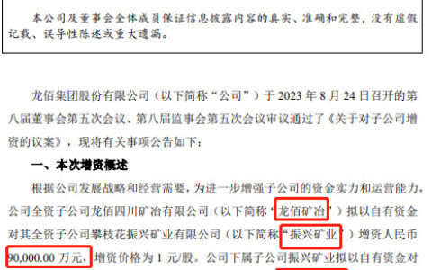 主业净利大降，18亿增资子公司，行业龙头能否力挽狂澜