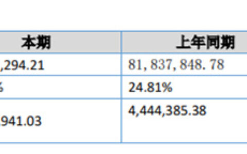 上半年净利暴降151% 这个上市涂企怎么了？