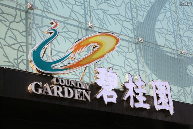 碧桂园的深刻反思