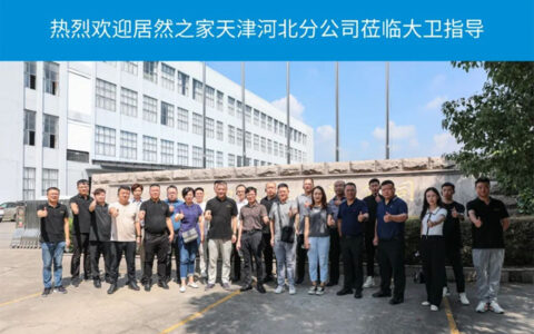 居然之家天津河北分公司领导一行莅临大卫指导