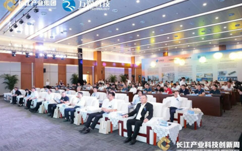 照明与存储半导体创新发展论坛在武汉举行