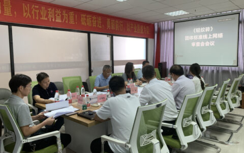 《轻纹砖》团体标准线上网络审查会会议圆满举行