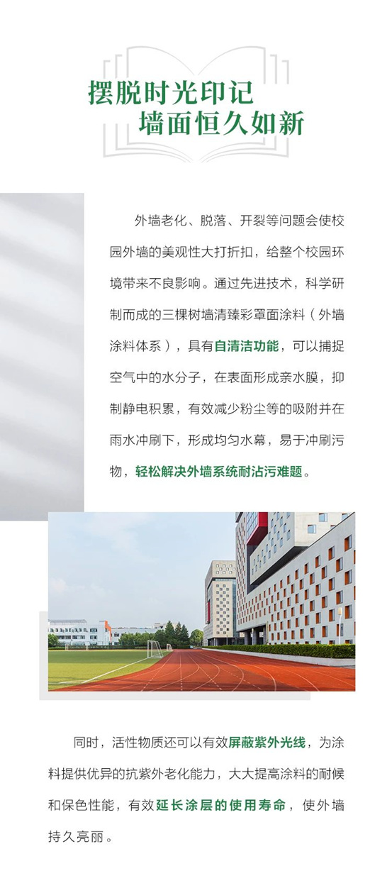 三棵树工程助推校园环境再升级，呵护学子健康成长