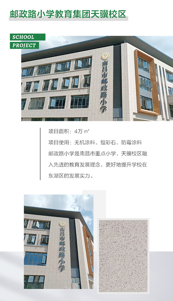 三棵树工程助推校园环境再升级，呵护学子健康成长