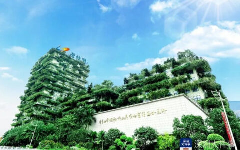 碧桂园再次公开“求救”