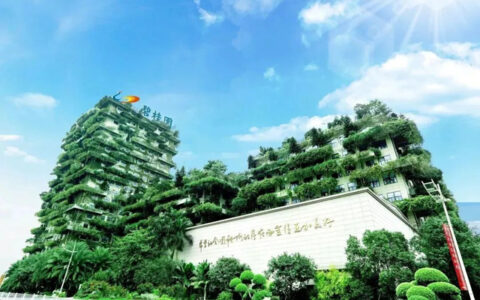 传闻缠身的碧桂园，打造五年的碧橙涂料未来会怎样？