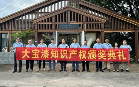大宝化工知识产权工作再获突破，表彰员工创新贡献