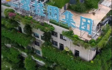 收购碧桂园？中国平安辟谣