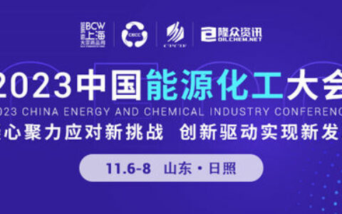 阿尔法总裁卫向阳代表防水行业参加2023中国能源化工大会